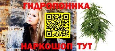 крисы Гусь-Хрустальный