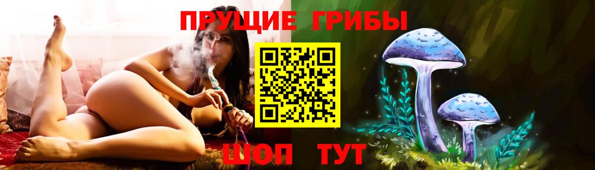 Галлюциногенные грибы прущие грибы  где можно купить наркотик  Дюртюли  Вход с VPN 